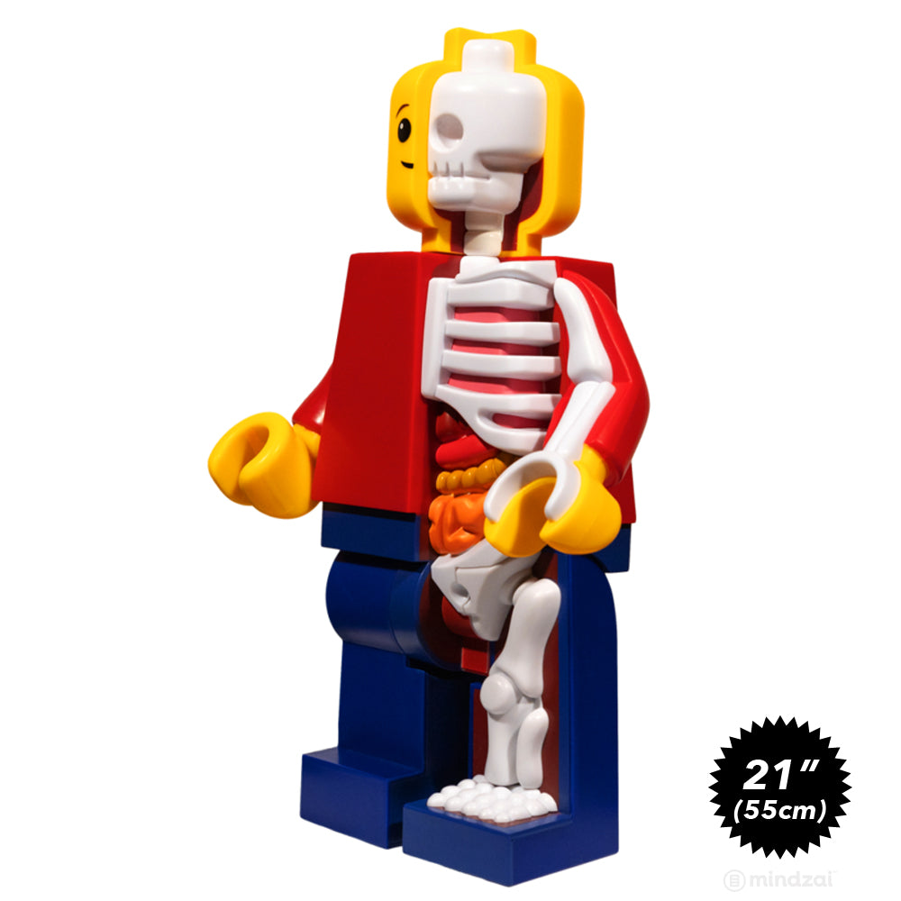 *Pre-order* Supersized Micro Anatomic (Junior) By Jason Freeny x Mighty Jaxx